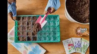 Don't Start These Seeds Too Early: A Gardener's Guide to Timing