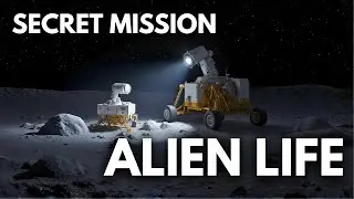 THE SECRET SEARCH FOR ALIEN LIFE | Sleepy Science Stories