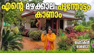 നമ്മുടെ മഴക്കാല Garden Tour ഇതാണ് ചെടികളുടെ അവസ്ഥ
