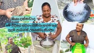මේවා ගැන නොදන්න අයටයි දැන දැනත් වැරද්ද ගත්ත අයටයි මෙන්න හරිම විදිහ - VeggieMaster