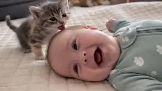 Kittens Have Officially Taken Over These Babies