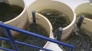 Fischaufstiegsanlage / M&auml;ander-Fischpass / Freie Fahrt f&uuml;r Forellen,Lachse,Aale,Stinte,Neunaugen