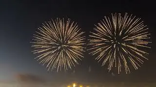 New Year Night Magic ✨ | Fireworks That Light Up the Sky