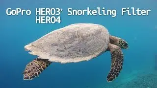 GoPro HERO4 HERO3+ HERO3 Snorkeling Filter Comparison - EelVision Shallow Water Red Filter