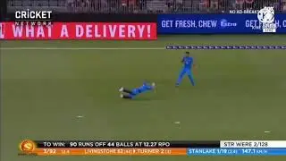 Alex Carey best catches ##bbl##comeback ##very hard alex