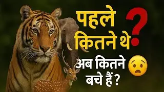 भारत में बाघ, शेर, हाथी कितने बचे हैं? 😱 | Animal Population Reality Hindi|  #wildlife #animal