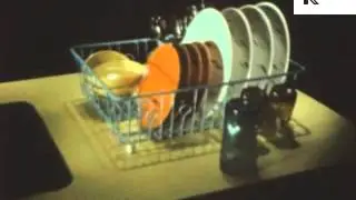 1950s Plastic Household Objects
