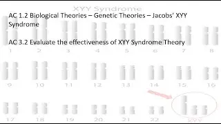 ACs 2.1 & 3.2 - Biological Theories - Genetic theories - Jacobs' XYY - (Updated 2022)
