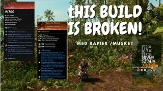 Insane damage! Med musket/ bleed rapier (Finisher Artifact) PVP Build