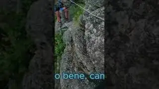 I Movimenti Si Fanno Rapidi E Sicuri