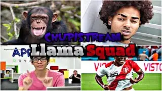 REENCUENTRO DE LA LLAMA SQUAD (Nos volvemos a pelear)