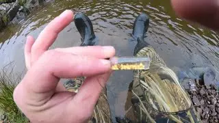 Panning Trip To The Mennock 2019