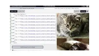 Building a Photo Gallery: Learn CSS Flexbox with FreeCodeCamp Responsive Web Design Course