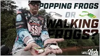 Popping Frogs or Walking Frogs? 🐸