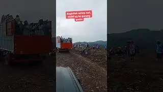 lagi musim tanam