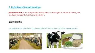 Unit no 1 What is feeding 1Animals need proper food to grow, stay healthy, produce milk, meat, eggs.