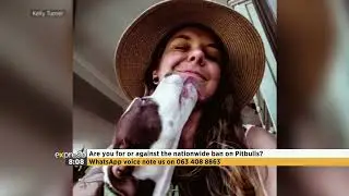 Panel Discussion: The Nationwide Ban on Pitbulls
