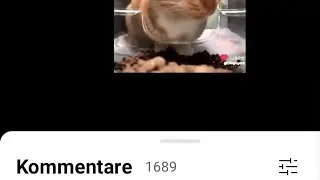 ich hab die power