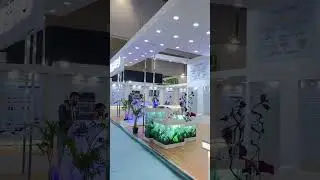 Auto expo 2025 Dwarka