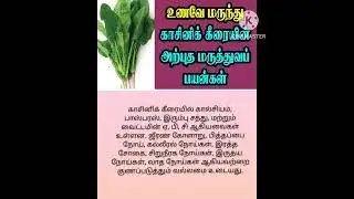 காசினிக் கீரையின் அற்புத மருத்துவ பயன்கள் KASINI KEERAI, CHICORY LEAVES, MEDICINAL BENEFITS