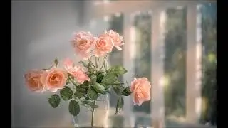 Лана Норд - Чайная роза. (Поэзия)