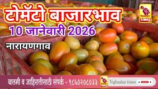 नारायणगाव टोमॅटो मार्केट l दिनांक 10 जानेवारी 2026 रोजी पहा काय मिळाला बाजारभाव?