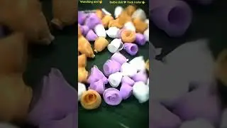 Barbie doll frocks trailer 🧚🤟#foryou 