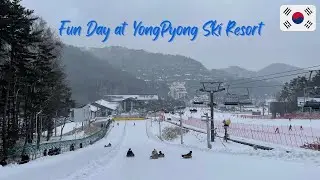 Fun Day At Yongpyong Ski Resort || PyeongChang Korea