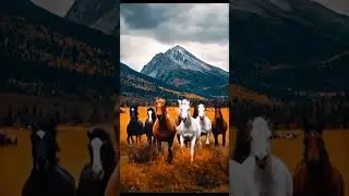 Wild Herd's Thunder Run#HorseHerd #Gallop #WildRun #Plains #ManeWind #DustStorm #PrimalPower