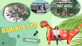 Harinalaya Deer Park || Harinalaya Mini Zoo || Eco Park, New Town || Young Monkz