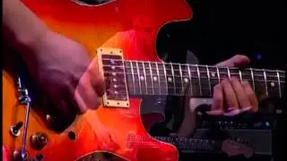 Steve Kimock Band - Electric Wildlife - Live at the Gothic Theatre