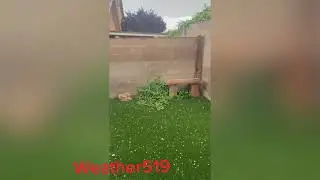 The hurricane season in Mexico.