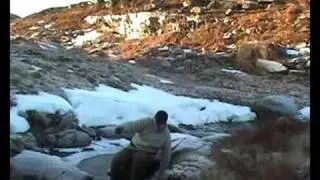 Ptarmigan! Shooting and catching with bare hands! Rypejakt med hendene! Fjellrype, lirype.