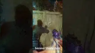 Revelations Dragon Shield Guide!
