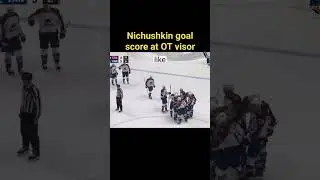 Visor goal by Val Nichushkin #nhl