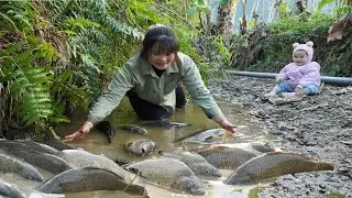 A single mother and her daughter catch giant river fish and pour concrete for their house foundation