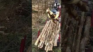 You love to see it 🔥#forest #forestmachine #alstor #alstor840 #logger