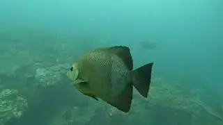 Sodwana Bay 29 oktober 2025