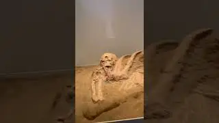 Bible Museum- Jerusalem 2