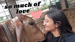 Behen se ladai ho gayi 😭, par gaayon ne mood theek kar diya🥹