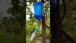 Wow! SMART idea and USEFUL with saving water #survival #useful #idea #savings #smart #shorts #forest