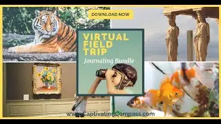 How to Use Virtual Field Trips & Virtual Museums in Your Homeschool
