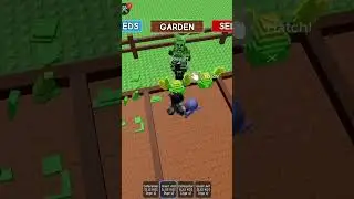 we opened 5 bug egg and this happen......