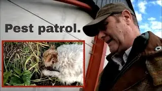 04/01/26  Pest patrol at Tother farm!