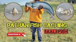 PATHAN FISH CACHING/BAALI FISHING/PATHAN FISH/PATAN FISHING/PATAN FISH HUNTING/SPOON FISHING/FISHING