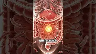 НЕВИДИМЫЙ ГОРОД ВНУТРИ ВАС! 🧬 #микробиом #здоровье #биология #интересныефакты