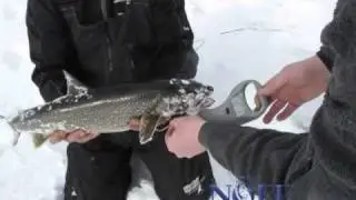 Northern Ontario Fishing Forum ep1