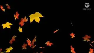 animation falling leaves background || animation kinemaster || black background