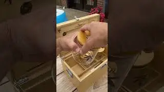 The XL Bzz Box (Treasure Chest) Lockable smell proof Stash Box