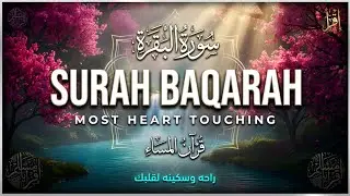 Surah Al-Baqara | قرآن المساء سورة البقره ☀️ قران كريم بصوت جميل جدا💚لحفظ وتحصين المنزل وجلب البركه-